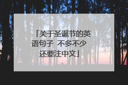 关于圣诞节的英语句子 不多不少还要注中文