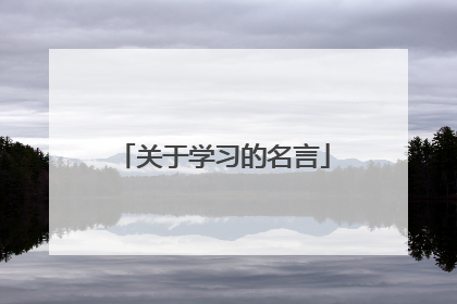 关于学习的名言