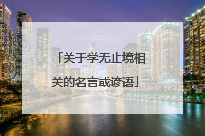关于学无止境相关的名言或谚语