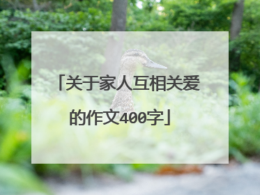 关于家人互相关爱的作文400字
