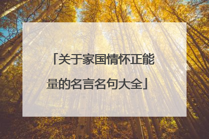 关于家国情怀正能量的名言名句大全