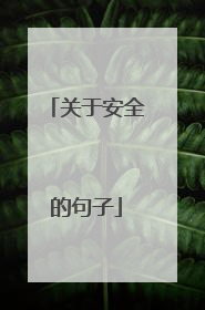 关于安全的句子