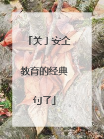 关于安全教育的经典句子