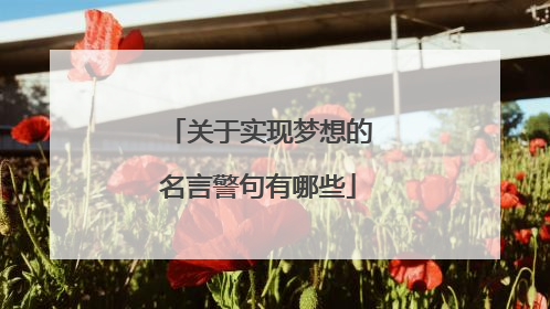 关于实现梦想的名言警句有哪些