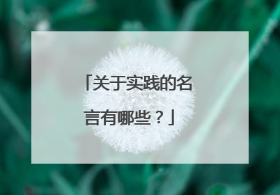 关于实践的名言有哪些?