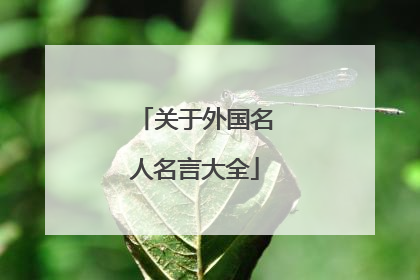 关于外国名人名言大全
