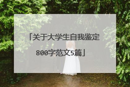 关于大学生自我鉴定800字范文5篇