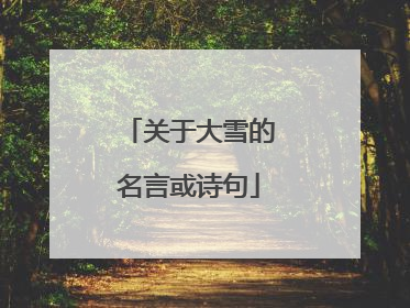 关于大雪的名言或诗句