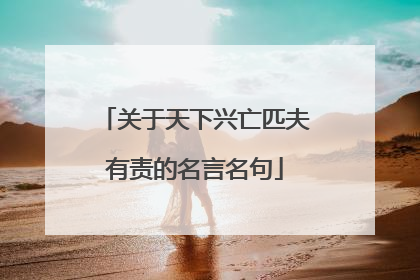 关于天下兴亡匹夫有责的名言名句
