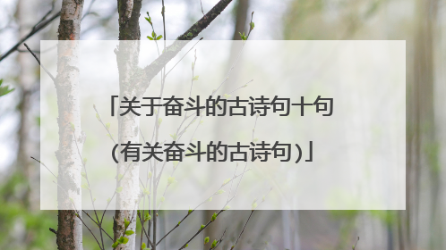 关于奋斗的古诗句十句(有关奋斗的古诗句)