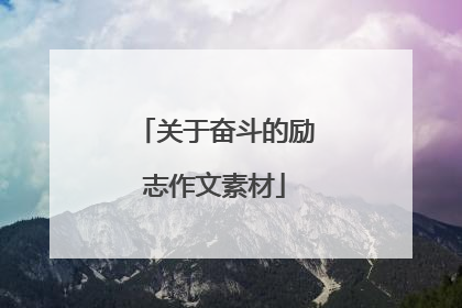 关于奋斗的励志作文素材