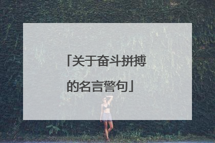 关于奋斗拼搏的名言警句