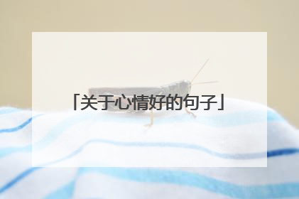 关于心情好的句子