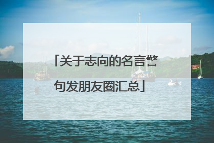 关于志向的名言警句发朋友圈汇总