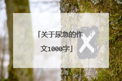 关于尿急的作文1000字