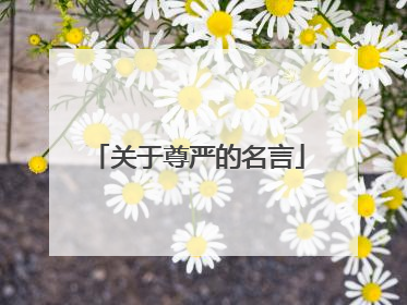 关于尊严的名言