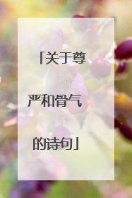 关于尊严和骨气的诗句