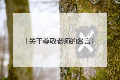 关于尊敬老师的名言