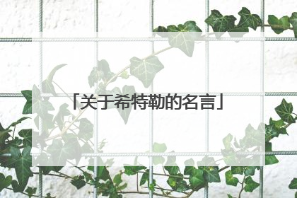 关于希特勒的名言