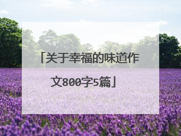 关于幸福的味道作文800字5篇