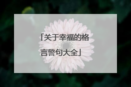 关于幸福的格言警句大全