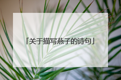 关于描写燕子的诗句