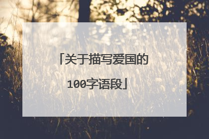 关于描写爱国的100字语段