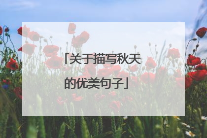 关于描写秋天的优美句子