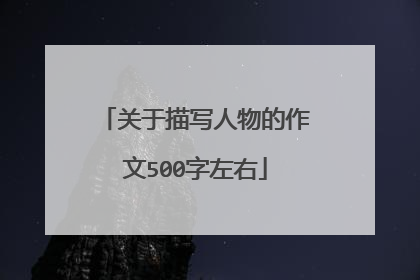 关于描写人物的作文500字左右