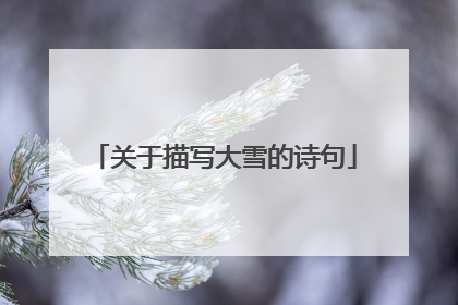 关于描写大雪的诗句