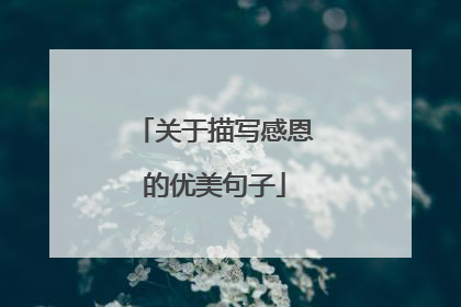 关于描写感恩的优美句子