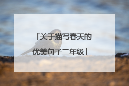 关于描写春天的优美句子二年级