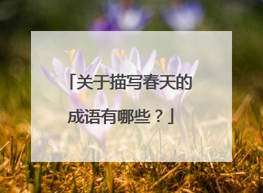 关于描写春天的成语有哪些？