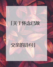 关于怀念已故父亲的诗句