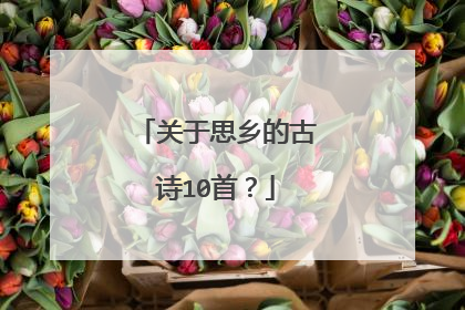 关于思乡的古诗10首?