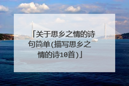 关于思乡之情的诗句简单(描写思乡之情的诗10首)