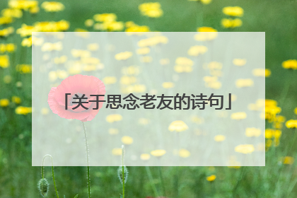 关于思念老友的诗句