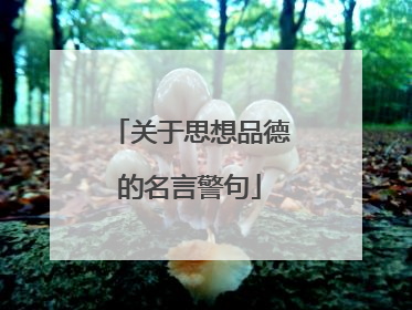 关于思想品德的名言警句