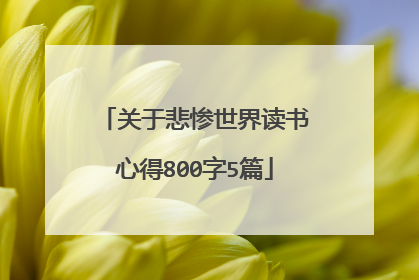 关于悲惨世界读书心得800字5篇