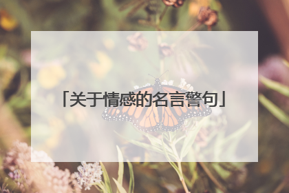 关于情感的名言警句