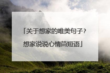 关于想家的唯美句子? 想家说说心情简短语