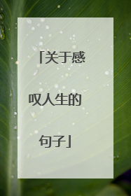关于感叹人生的句子
