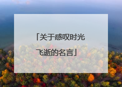 关于感叹时光飞逝的名言