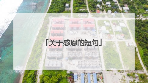 关于感恩的短句