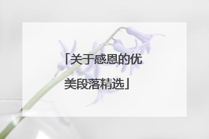 关于感恩的优美段落精选