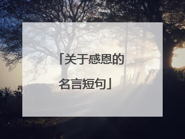 关于感恩的名言短句