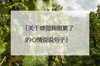 关于感觉我很累了的心情说说句子
