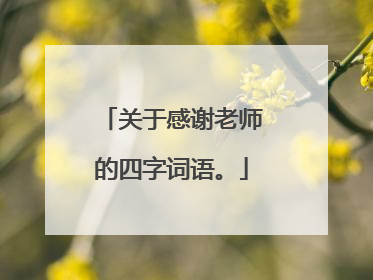 关于感谢老师的四字词语。