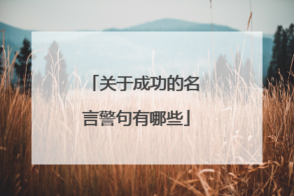 关于成功的名言警句有哪些