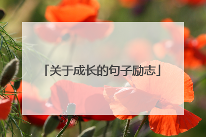 关于成长的句子励志